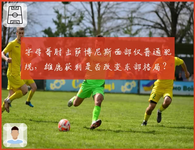 字母哥肘击萨博尼斯面部仅普通犯规，雄鹿获利是否改变东部格局？