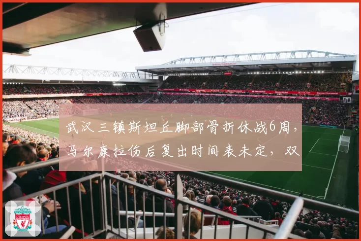 武汉三镇斯坦丘脚部骨折休战6周,马尔康拉伤后复出时间表未定,双外援缺阵让争冠蒙阴影