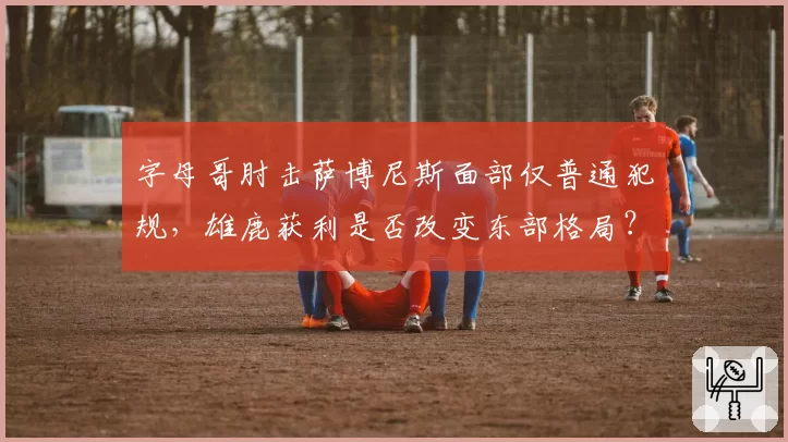 字母哥肘击萨博尼斯面部仅普通犯规,雄鹿获利是否改变东部格局?